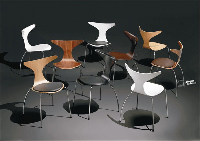 Dolphin Chair