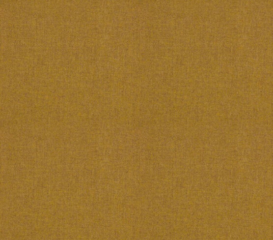 Mexicana Plain Onion