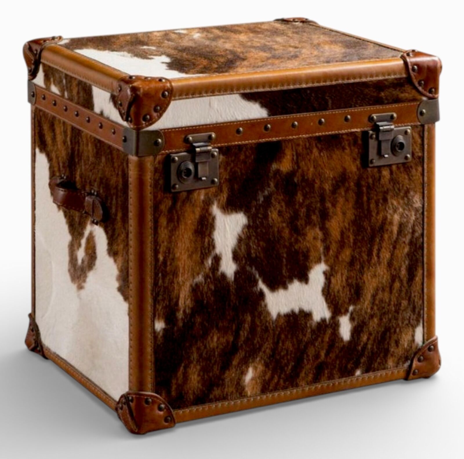 Hair On Hide Leather Storage Trunk