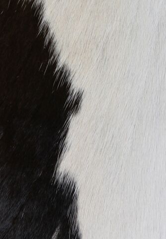 Hair On Hide Leather Black