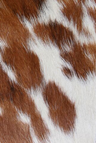 Hair On Hide Leather Brown