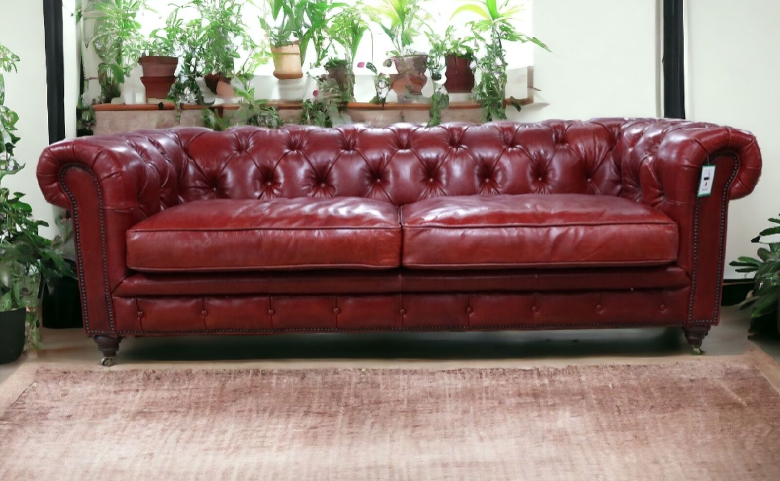 Product photograph of Vintage Distressed Rouge Red Real Leather Chesterfield 3 Amp Hellip from Designer Sofas 4U