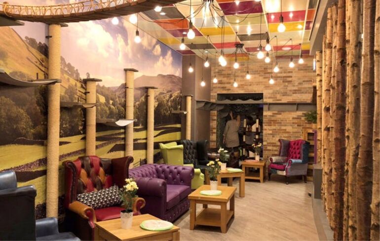 Our Chesterfield furniture looks fabulous at KittyCafe