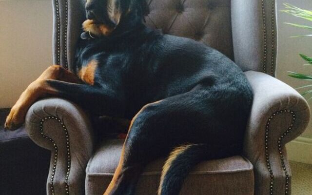 Bespoke Furniture Why Should I Choose Bespoke?