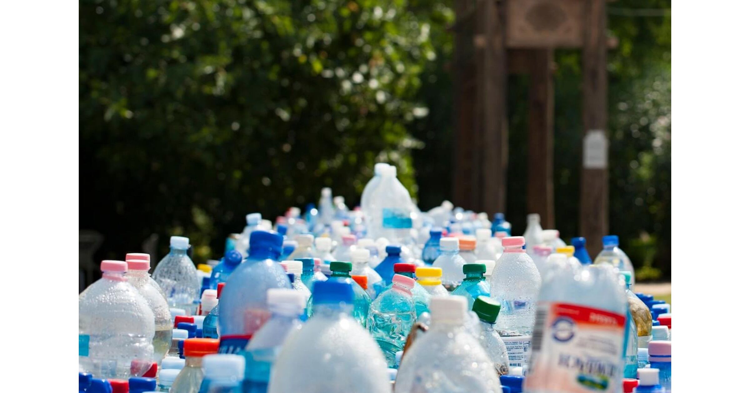 Easy Ways to Recycle at Home