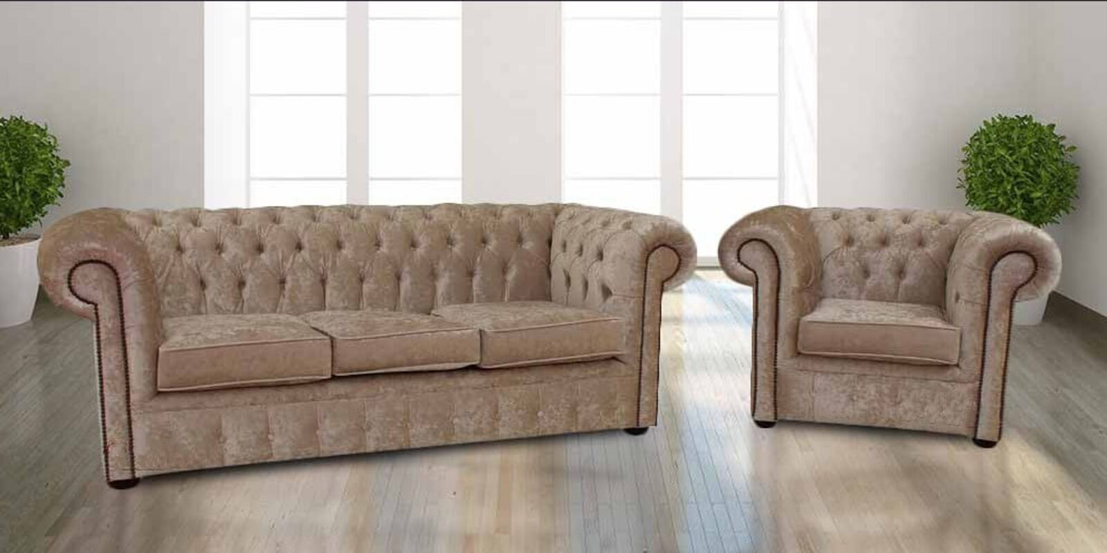 Product photograph of Chesterfield 3 Seater Sofa Club Chair Senso Oyster Velvet Fabric Suite from Designer Sofas 4U