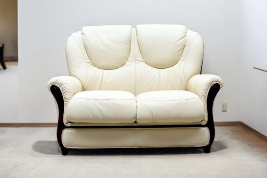 Juliet Italian Leather 2 Seater Sofas