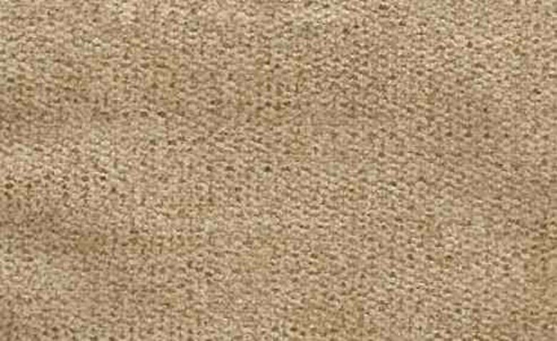 Dakota Latte Velvet Fabric