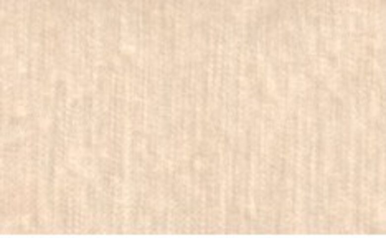 Modena Oyster Velvet Fabric