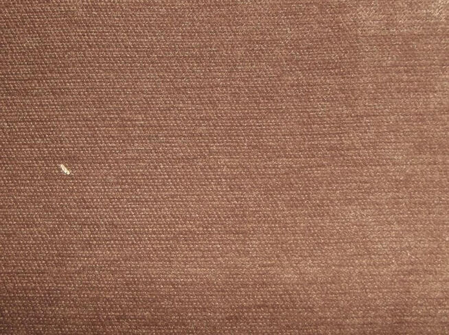 Pimlico Beaver Fabric