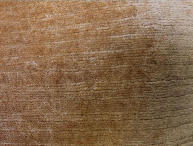 Primo Barleycorn Velvet Fabric