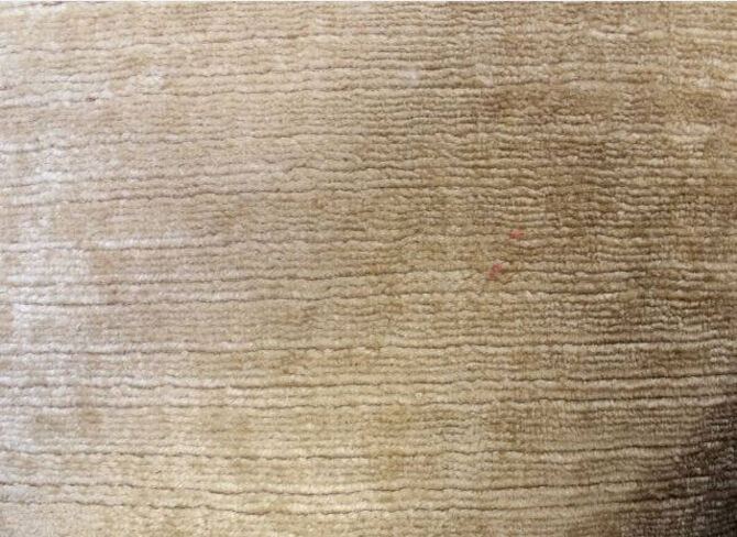 Primo Ryedale Velvet Fabric